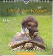 Postkartenkalender - Tierisch gute Freunde 2013 -