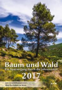 Baum und Wald 2017 - 
