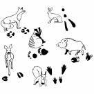 Tierspurenstempel - 