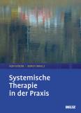 Systemische Therapie in der Praxis 