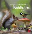 Trunov Waldtiere Postkartenkalender 2020 Heye - 