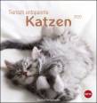 Tierisch entspannte Katzen Postkartenkalender 2020 - 