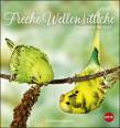 Freche Wellensittiche Postkartenkalender 2020 - 