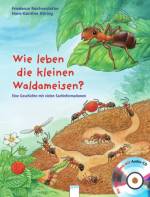  Wie leben die kleinen Waldameisen?  - Eine Geschichte mit vielen Sachinformationen