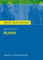 Ruhm - von Daniel Kehlmann Textanalyse und Interpretation mit ausführlicher Inhaltsangabe und Abituraufgaben mit Lösungen