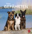 Hunde Postkartenkalender – Treue Gefährten 2021 