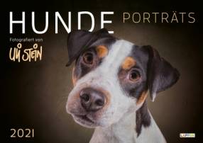 Hunde Porträts 2021 - 