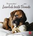 Ziemlich beste Freunde Postkartenkalender 2021 - 