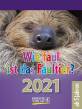 Wie faul ist das Faultier? 2021 - 