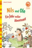 Nils und Ole. Ein Jahr voller Abenteuer - Der Bücherbär: Wir lesen zusammen