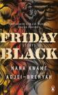 Friday Black - Storys