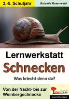 Lernwerkstatt Schnecken - Was kriecht denn da?