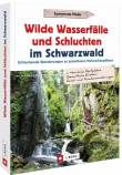 Wilde Wasserfälle und Schluchten im Schwarzwald - Erfrischende Wanderungen zu grandiosen Naturschauplätzen