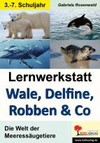 Lernwerkstatt Wale, Delfine, Robben & Co.  - Die Welt der Meeressäugetiere