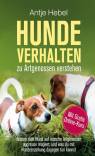 Hundeverhalten zu Artgenossen verstehen Warum dein Hund auf manche Artgenossen aggressiv reagiert, und was du mit Hundeerziehung dagegen tun kannst