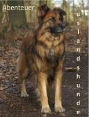 Abenteuer Auslandshunde  - 