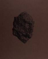 Revier - 