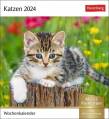 Katzen Postkartenkalender 2024 - 