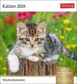 Katzen Postkartenkalender 2024 