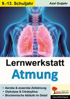 Lernwerkstatt Atmung / Band 2 (Klasse 9-13) 
