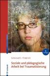 Soziale und pädagogische Arbeit bei Traumatisierung - 