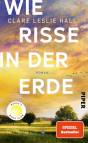 Wie Risse in der Erde - Roman