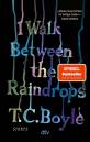 I Walk Between the Raindrops - Storys