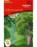 Lebensraum Wald - 