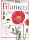 Blumen 