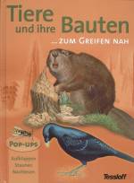 Tiere und ihre Bauten... zum Greifen nah Pop-ups: Aufklappen, Staunen, Nachlesen