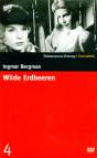 Wilde Erdbeeren - 