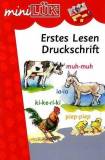 mini LÜK Erstes Lesen Druckschrift