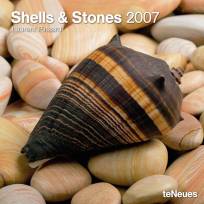 Shells & Stones 2007 