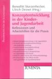 Konzeptentwicklung in der Kinder- und Jugendarbeit Reflexionen und Arbeitshilfen für die Praxis