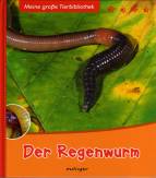 Der Regenwurm 