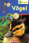 Vögel 