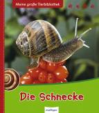 Die Schnecke 