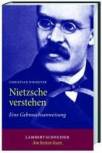 Nietzsche verstehen Eine Gebrauchsanweisung