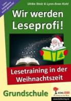 Wir werden Leseprofi!  Lesetraining in der Weihnachtszeit