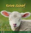  Extra Schaf 2013 