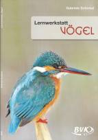 Lernwerkstatt Vögel 