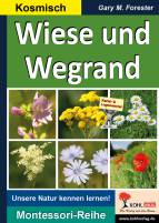 Wiese und Wegrand Unsere Natur kennenlernen