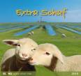  Extra Schaf Postkartenkalender 2015 