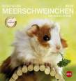 Meerschweinchen Postkartenkalender 2016 