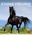Starke Freunde  2016 Pferde Postkartenkalender