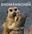 Erdmännchen Postkartenkalender 2016 