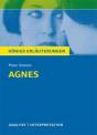 Agnes Textanalyse und Interpretation zu Peter Stamm: Agnes