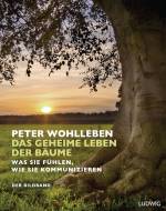 Das geheime Leben der Bäume  Was sie fühlen, wie sie kommunizieren