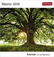 Bäume - Kalender 2018: Kalender mit 53 Postkarten 