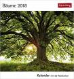 Bäume - Kalender 2018: Kalender mit 53 Postkarten - 